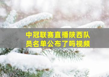 中冠联赛直播陕西队员名单公布了吗视频