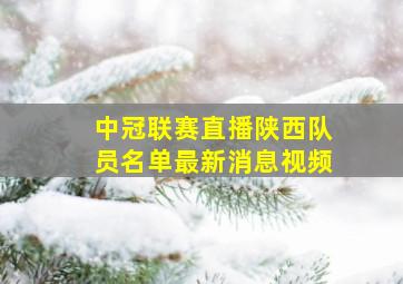 中冠联赛直播陕西队员名单最新消息视频