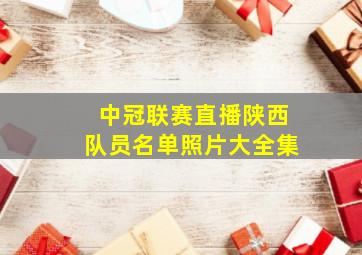 中冠联赛直播陕西队员名单照片大全集