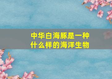 中华白海豚是一种什么样的海洋生物