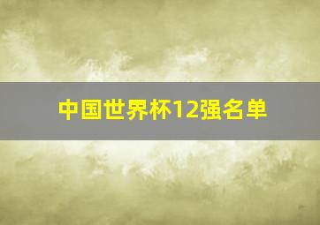 中国世界杯12强名单