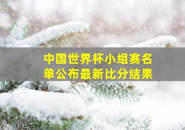 中国世界杯小组赛名单公布最新比分结果