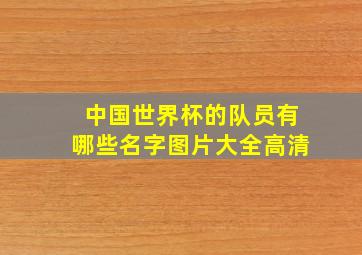 中国世界杯的队员有哪些名字图片大全高清