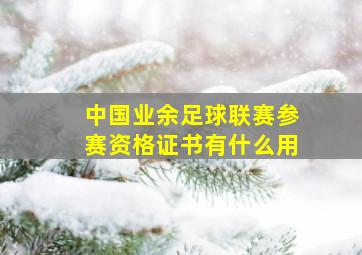 中国业余足球联赛参赛资格证书有什么用