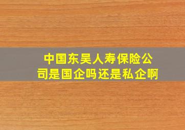 中国东吴人寿保险公司是国企吗还是私企啊