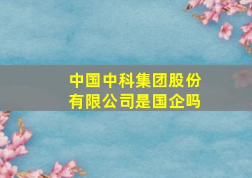 中国中科集团股份有限公司是国企吗