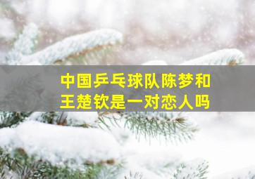 中国乒乓球队陈梦和王楚钦是一对恋人吗