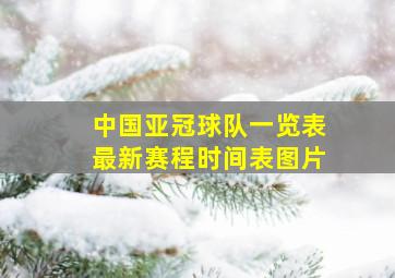 中国亚冠球队一览表最新赛程时间表图片