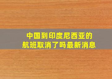 中国到印度尼西亚的航班取消了吗最新消息