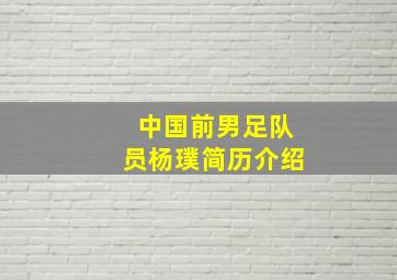 中国前男足队员杨璞简历介绍