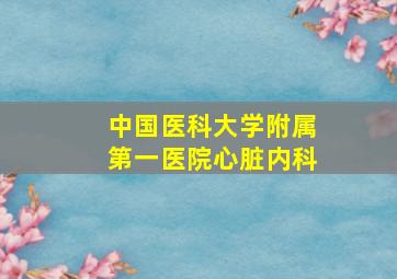 中国医科大学附属第一医院心脏内科