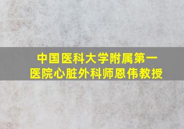 中国医科大学附属第一医院心脏外科师恩伟教授