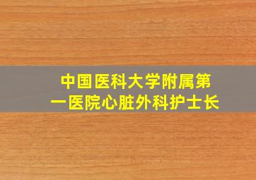 中国医科大学附属第一医院心脏外科护士长