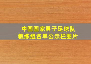 中国国家男子足球队教练组名单公示栏图片