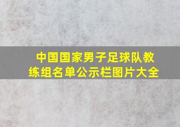 中国国家男子足球队教练组名单公示栏图片大全