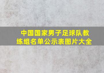 中国国家男子足球队教练组名单公示表图片大全