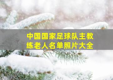 中国国家足球队主教练老人名单照片大全