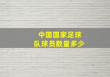 中国国家足球队球员数量多少