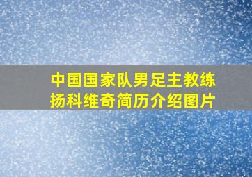 中国国家队男足主教练扬科维奇简历介绍图片