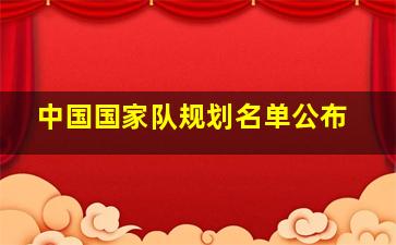 中国国家队规划名单公布