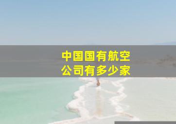 中国国有航空公司有多少家