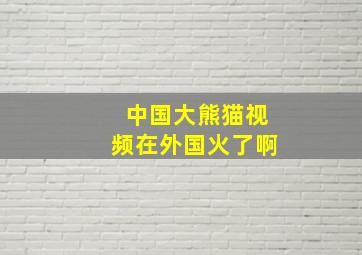 中国大熊猫视频在外国火了啊