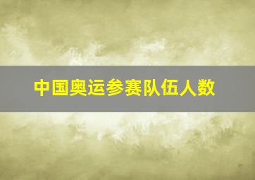 中国奥运参赛队伍人数