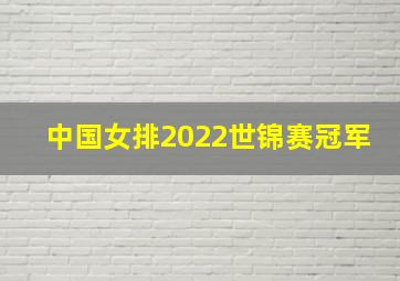 中国女排2022世锦赛冠军