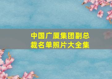 中国广厦集团副总裁名单照片大全集