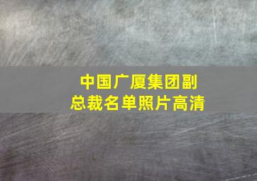 中国广厦集团副总裁名单照片高清