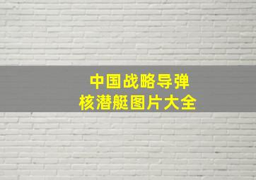 中国战略导弹核潜艇图片大全