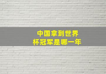 中国拿到世界杯冠军是哪一年