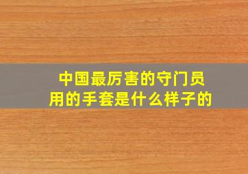 中国最厉害的守门员用的手套是什么样子的