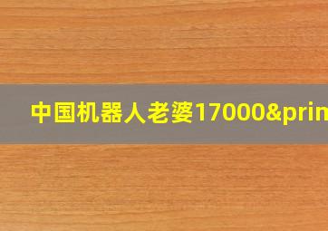 中国机器人老婆17000′