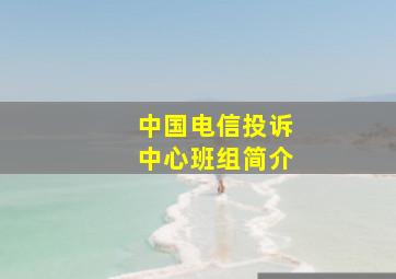 中国电信投诉中心班组简介