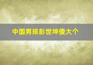 中国男排彭世坤傻大个