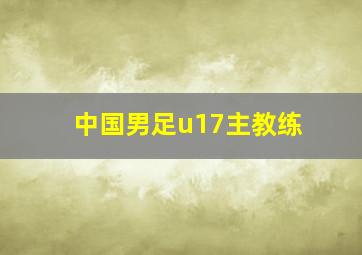 中国男足u17主教练