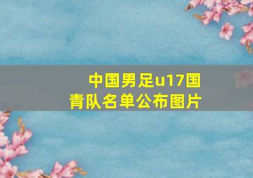 中国男足u17国青队名单公布图片