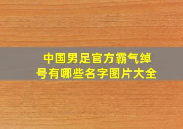 中国男足官方霸气绰号有哪些名字图片大全