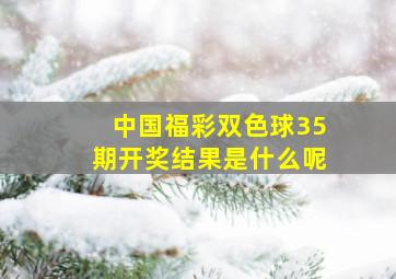 中国福彩双色球35期开奖结果是什么呢