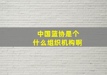 中国篮协是个什么组织机构啊