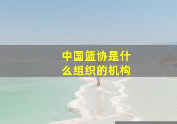 中国篮协是什么组织的机构