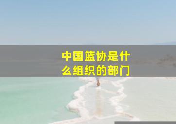 中国篮协是什么组织的部门