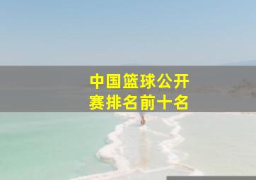 中国篮球公开赛排名前十名