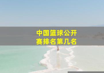 中国篮球公开赛排名第几名