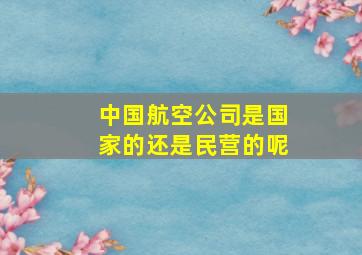 中国航空公司是国家的还是民营的呢