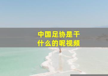 中国足协是干什么的呢视频