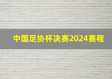 中国足协杯决赛2024赛程