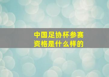 中国足协杯参赛资格是什么样的