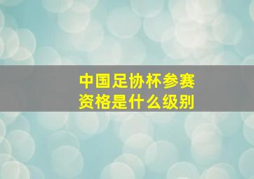 中国足协杯参赛资格是什么级别